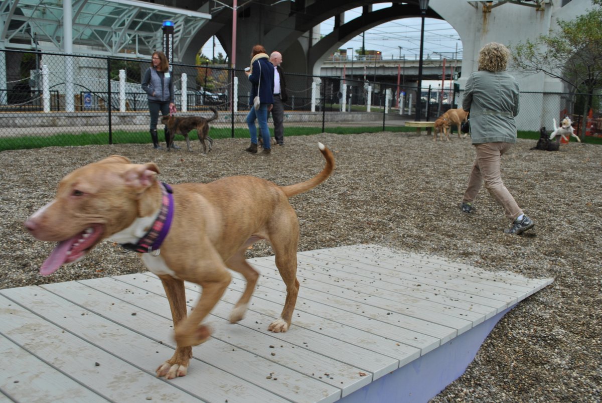 DowntownCLE's tweet photo. Attn #dtCLE dogs! @dtCLEdogpark turns 2 tomorrow! Come celebrate the city's only dog park with prizes, costume parade and puppy love https://t.co/C5KZbhIxxc