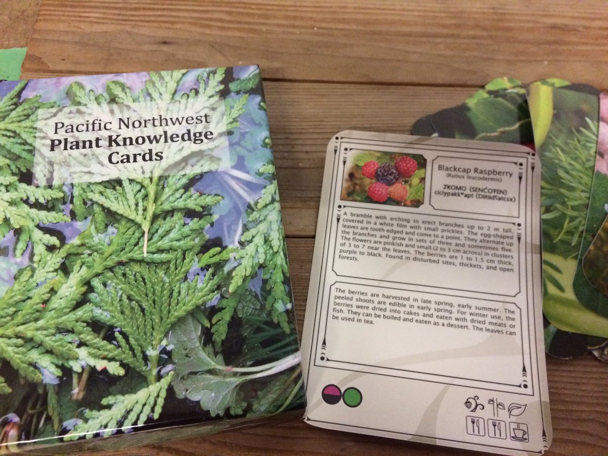 ClaireKreuger's tweet photo. I need Plant Knowledge Cards for the prairies!  #FirstNations1st https://t.co/2wlP5erUTk