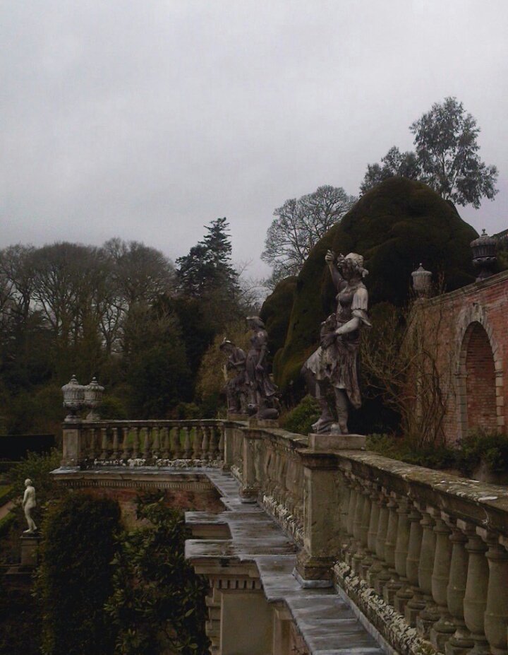 Hwyaden Promo. tweet media