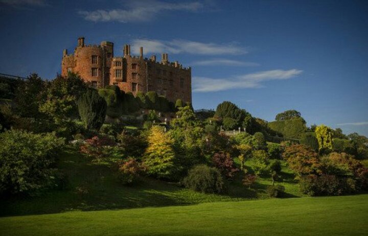 Hwyaden Promo. tweet media