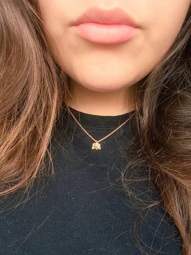 ShopatAphrodite's tweet photo. Our Lucky Elephant Necklace is now available for just $14.99!! And we have FREE worldwide shipping! https://t.co/yAioQsjMiT
