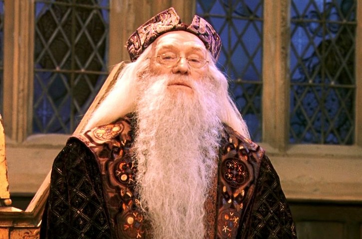 "Istırap çekebilmen hâlâ insan olduğunu gösterir. Acı insan olmanın bir parçasıdır."
Albus Dumbledore