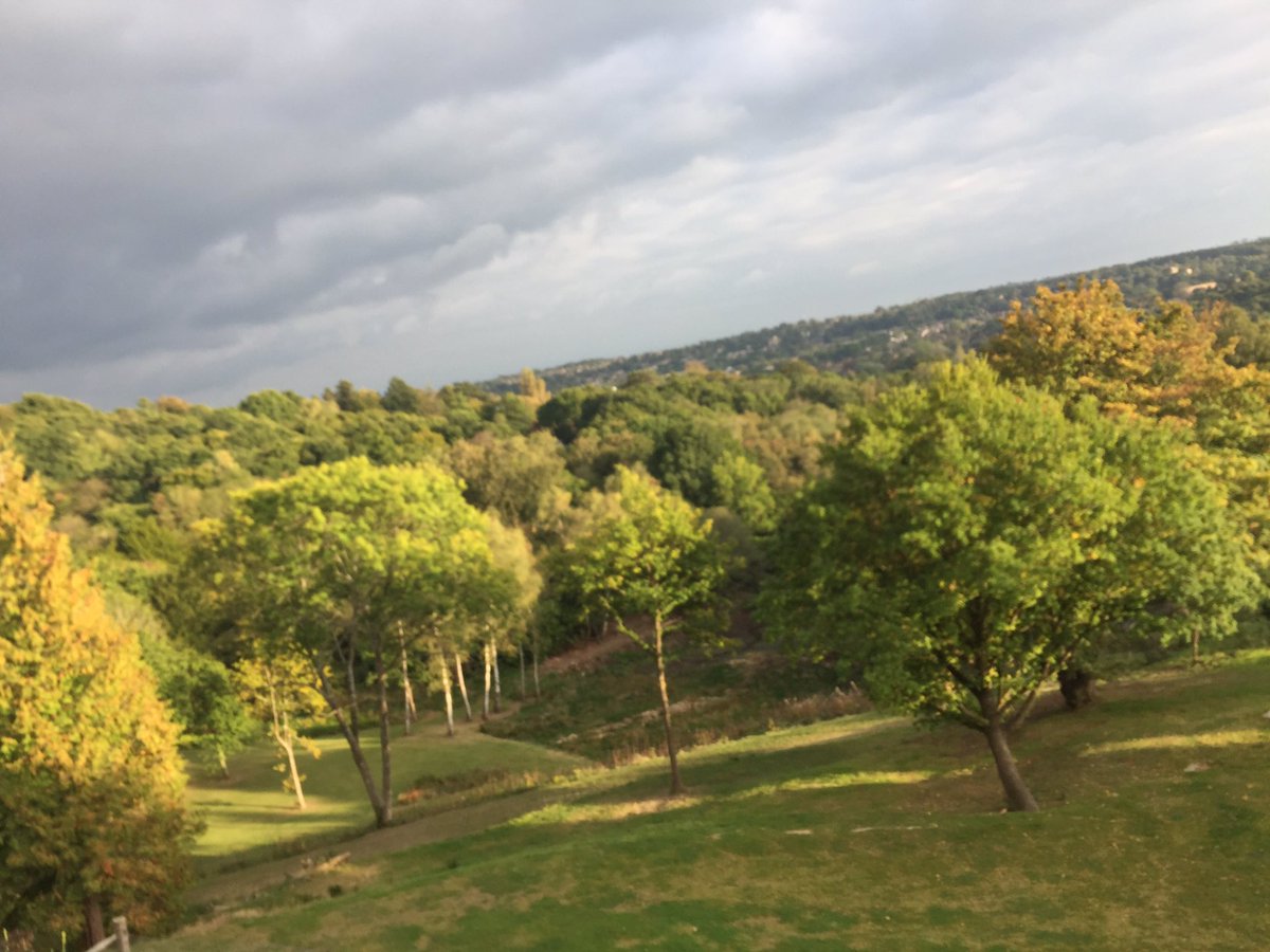 Autumnal colours slowly making their appearance #cozydining #thebeacon_tw