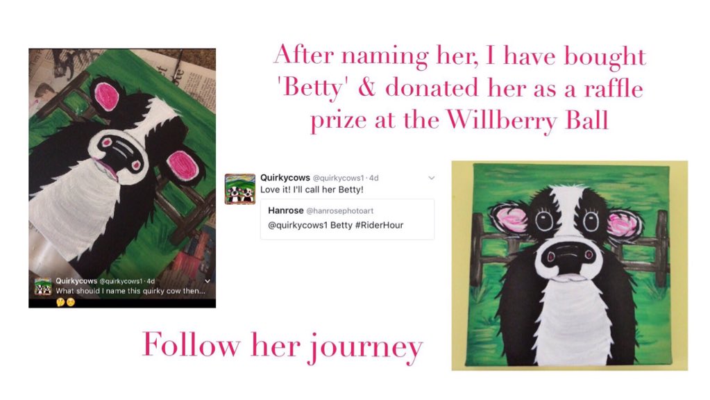 hanroseUK's tweet photo. She's all packaged up &amp; on her way to the @willberryball more pics to come! #TackRoomFriday https://t.co/uSZO1exExl