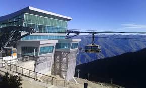 Francisco Guzmán tweet media