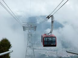 Francisco Guzmán tweet media