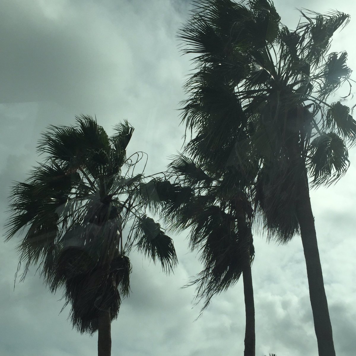 CarlaRocka's tweet photo. "I'm in a Hurricane" at least I have an official theme song @GavinRossdale @bushofficial #HurricaneMatthew https://t.co/y1nmTFN1Uh