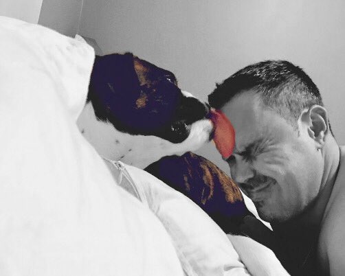 CrueTheBoxer's tweet photo. #PuppyLove #PuppyFace #dogslife #dogsoftwitter #boxerdoglife #doglovers #doglick @LinzySpina @JulezPooh https://t.co/JJKwgW8Twi