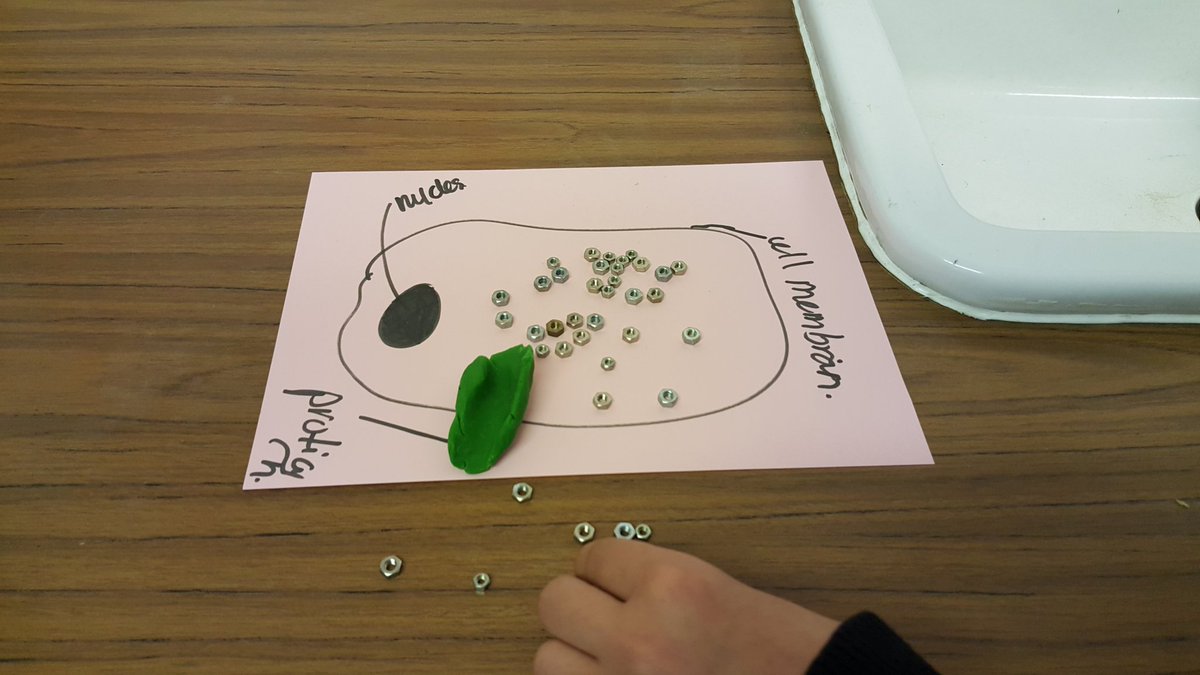 Trinity Science tweet media