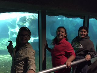 Barton4GWE's tweet photo. Great day at the zoo...more pics! https://t.co/vfa3l8XuhG