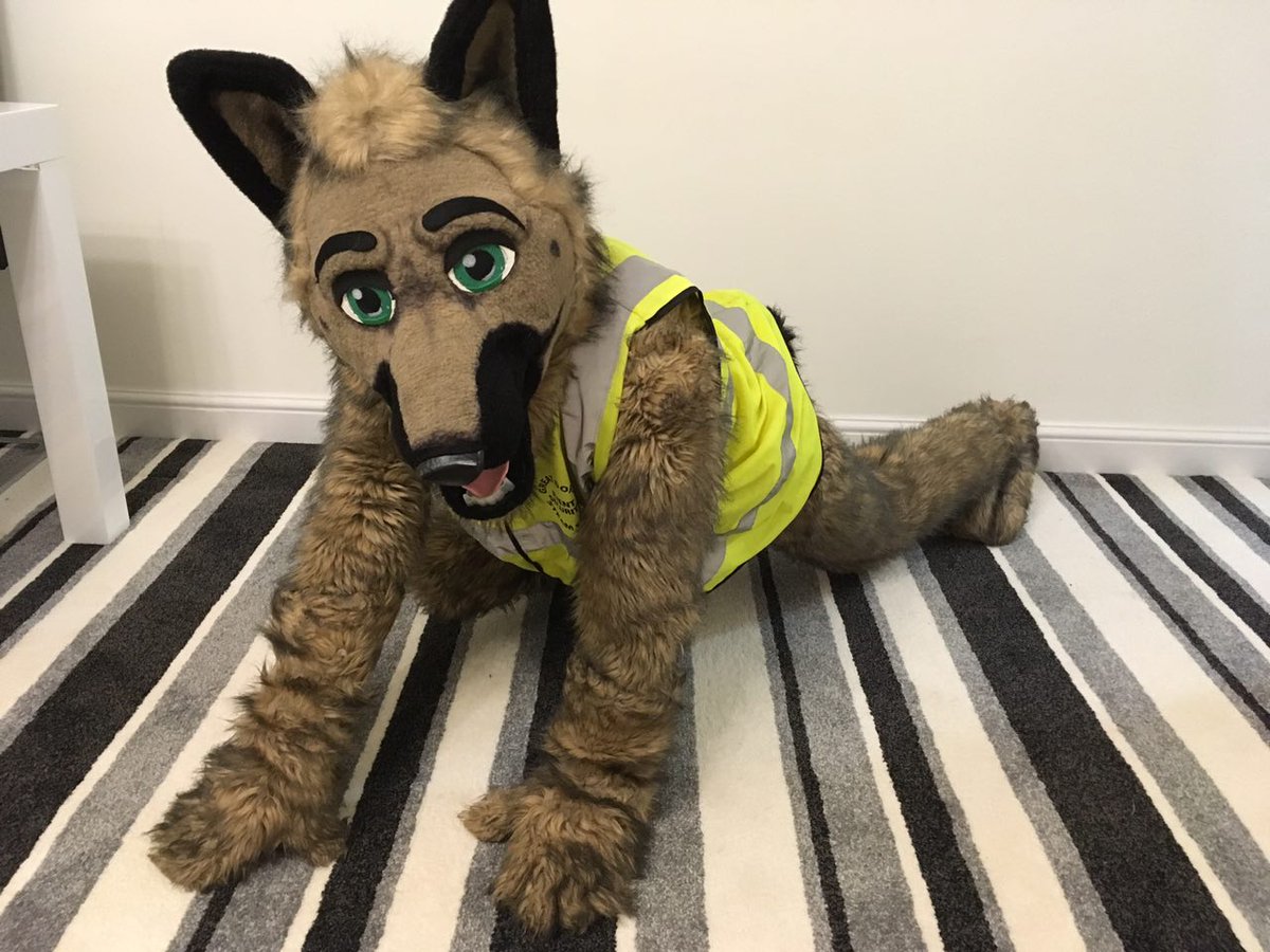 Ash Blackthorn (@ashblackthorn) on Twitter photo 