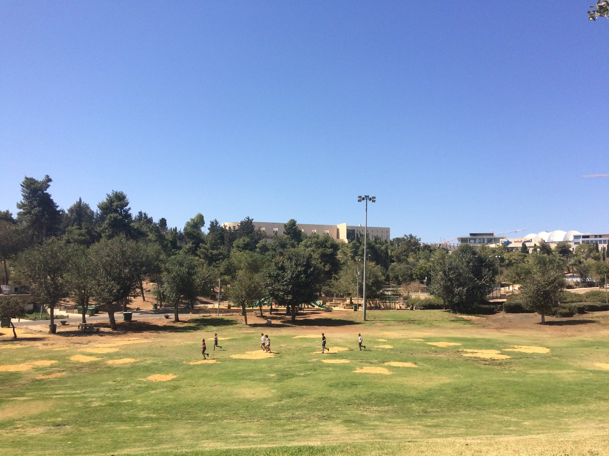 RinserWinds's tweet photo. Heute wieder 28 Grad, der Himmel war wolkenlos und eine leichte Brise umschmeichelte die Stadt
#justjerusalemthings https://t.co/XQfNLjeutr