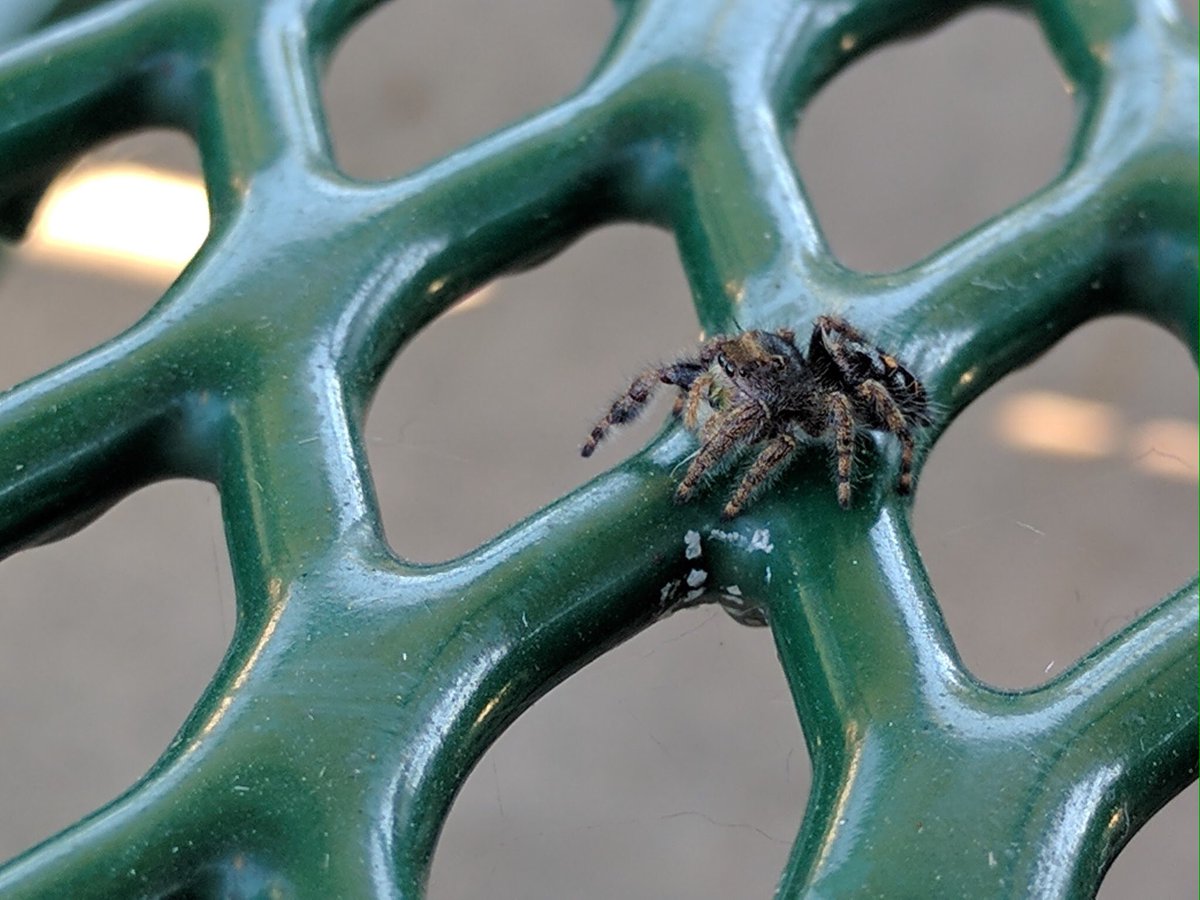 TallNose's tweet image. Look at him! #ahhhhhh #zomg #suchcute