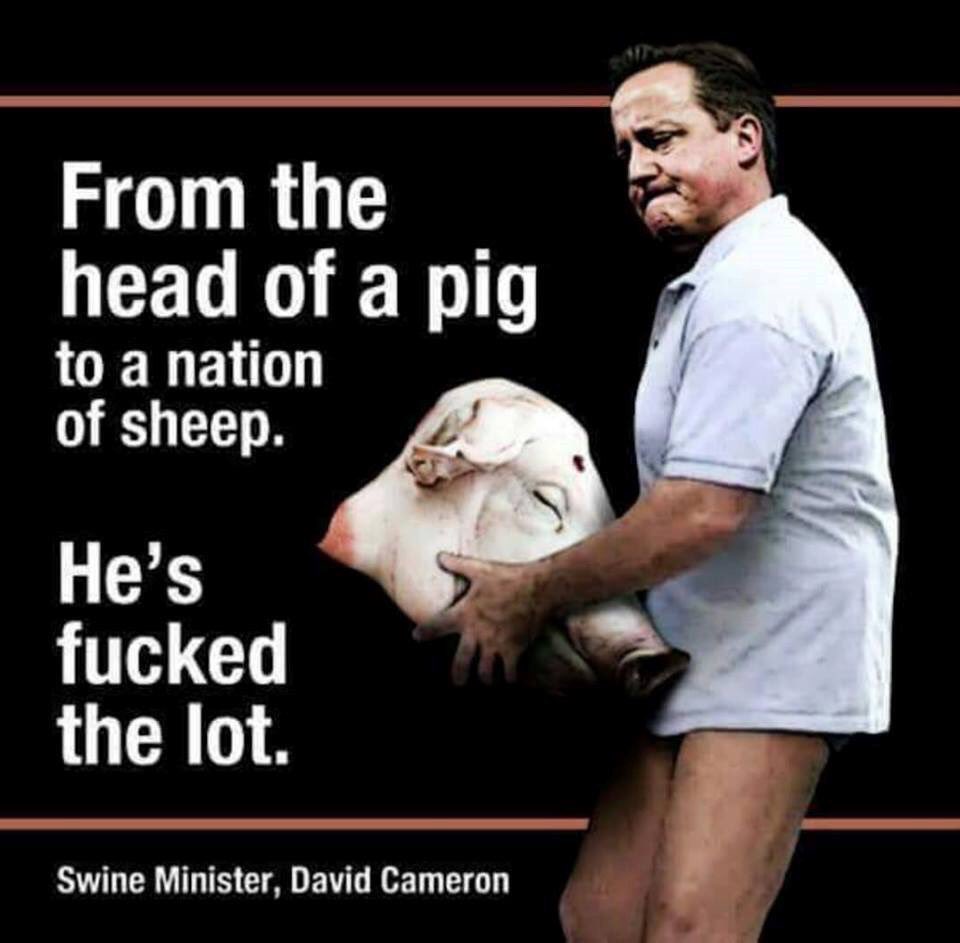 _handinglove's tweet photo. 'Your mate fucked a pig' #HIGNFY How I miss #pigsgate https://t.co/kYLhLuS7au