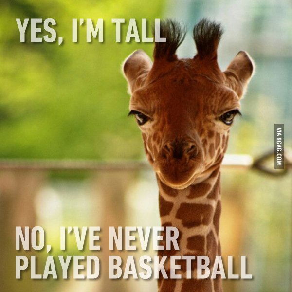 9GAG's tweet image. Only tall people will understand.
9gag.com/gag/aL9EYWx?re…