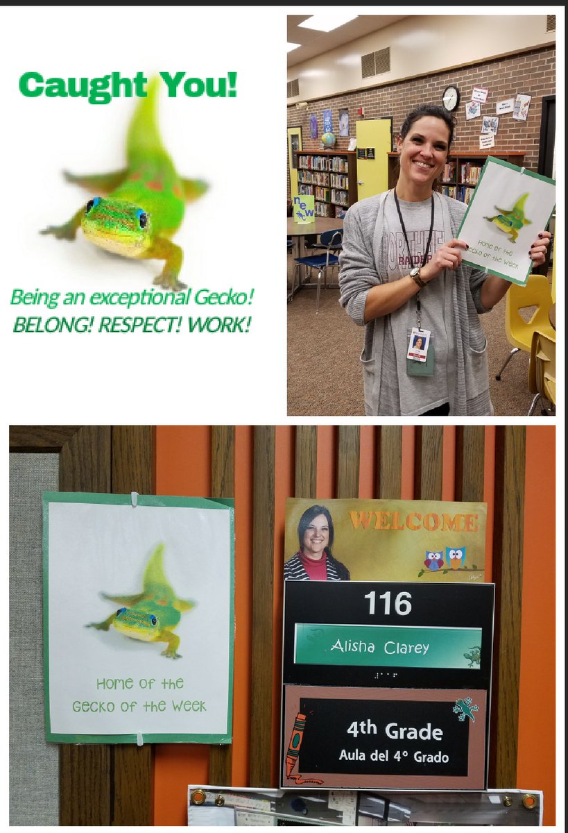 LissaALarsen's tweet photo. Gecko of the Week ... Mrs Alisha Clarey! @GVPGeckos #StaffRecognizingStaff #nfldedu https://t.co/ccIdzZc9A4