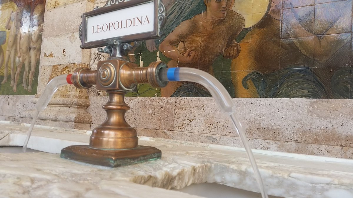 ViaFrancigenaEU's tweet photo. La via #Francigena #termale, benessere psico-fisico lungo il cammino. Oggi ne abbiamo parlato alla @BTSmontecatini https://t.co/aY9o6kBCGd