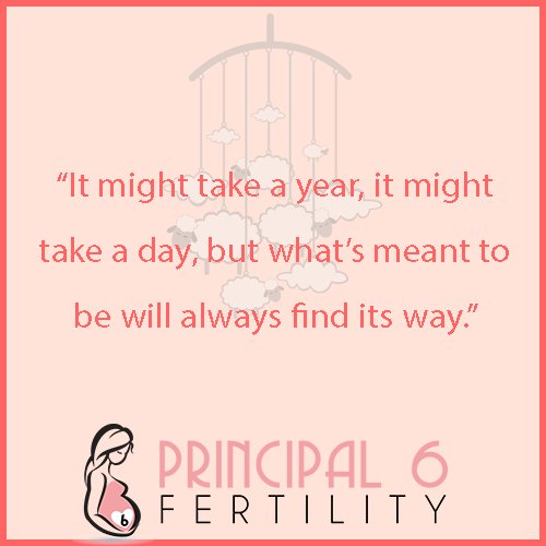 P6Fertility's tweet photo. #familyfriday #motivation #quotes https://t.co/YAiYFZdGoo