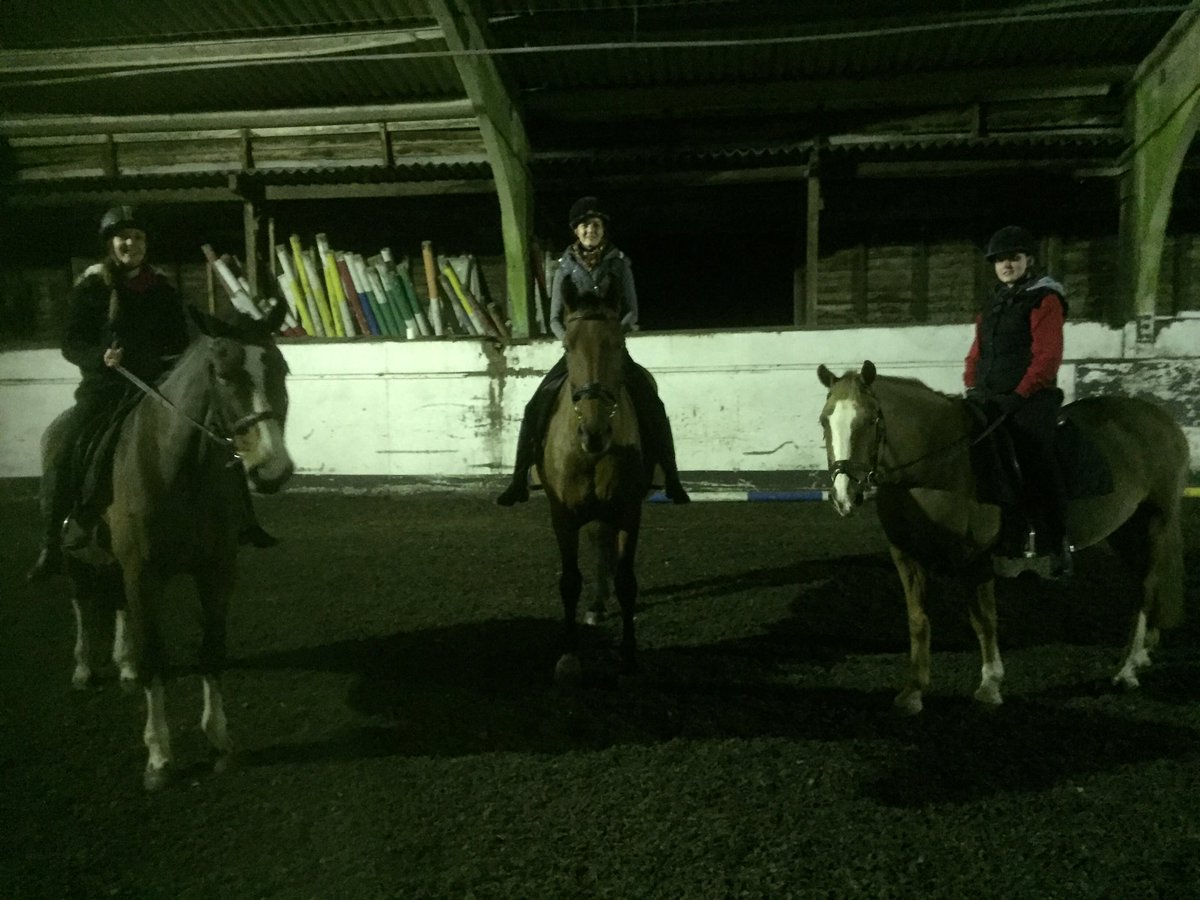 Vickie39580365's tweet photo. 3sisters enjoyed their lesson this eve!! @walterdressage https://t.co/pNfyO35ek4