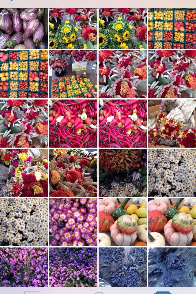 mollydektar's tweet photo. #nycupdate fall ๐๐๐๐๐ https://t.co/b5wpvLiBSr