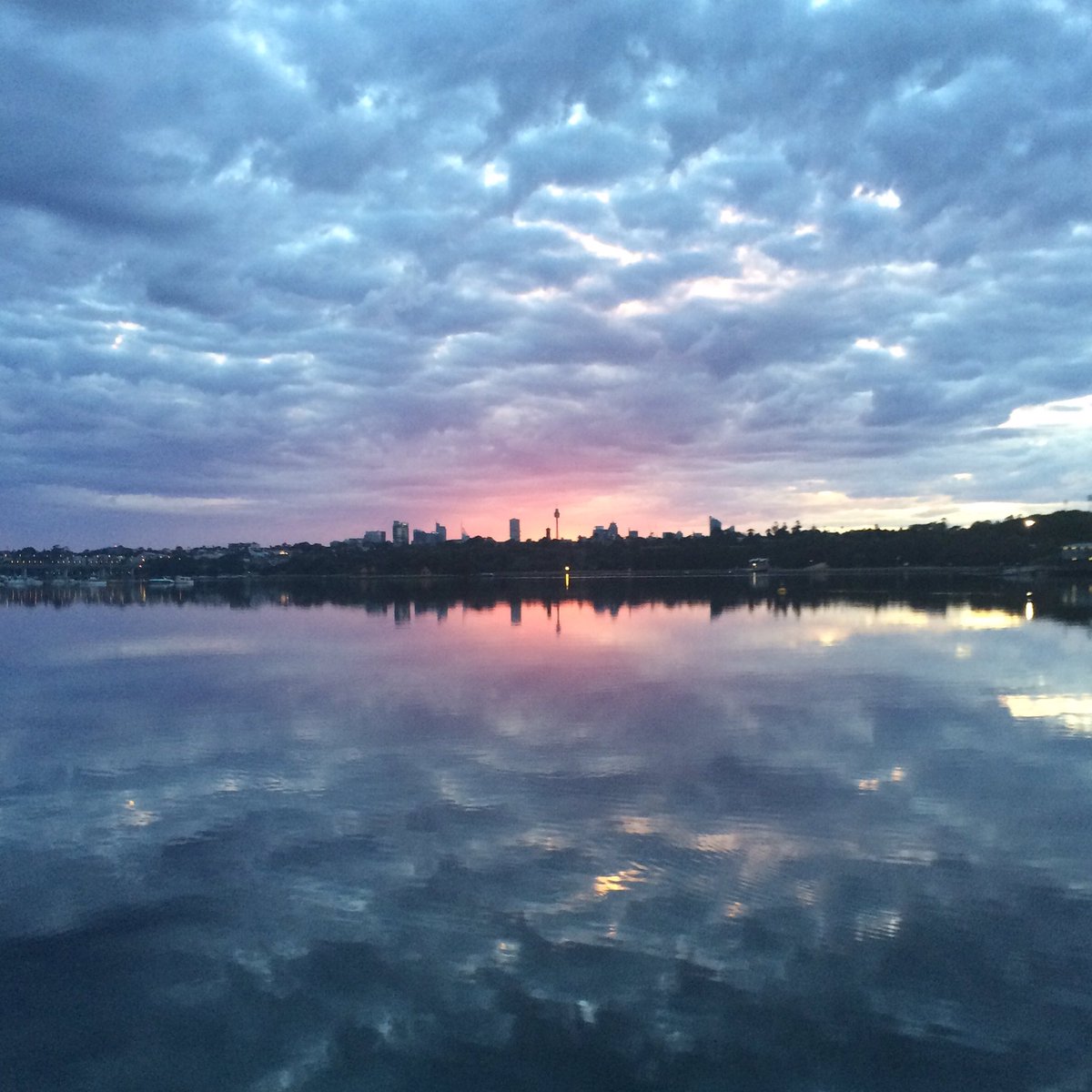 Another beautiful Saturday morning long run in #Sydney with <a href="/JonoIreland1/">Jono Ireland </a>. Bring on @melb_marathon &amp; @QueenstownRun