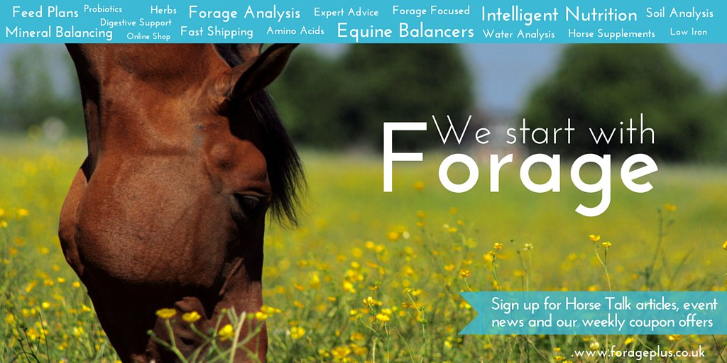 forageplus's tweet photo. FREE presentation How to Feed #Horses: a journey into health starts with hay &amp; grass https://t.co/t2dLW3510X https://t.co/264f3e5wYf