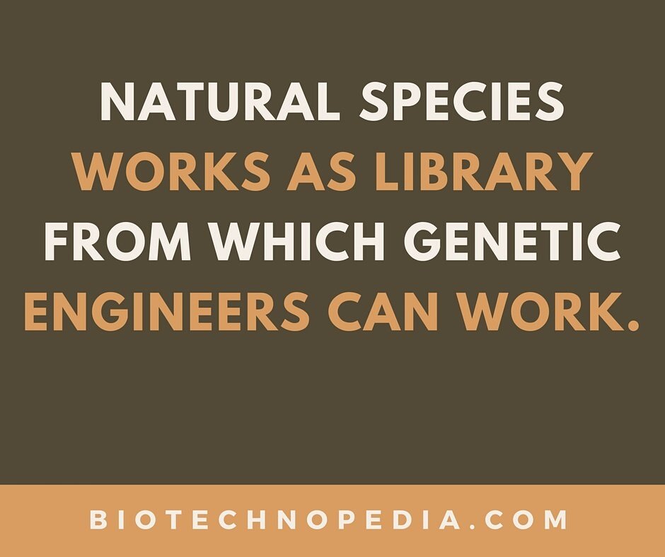 biotechopedia's tweet photo. Natural species works as library from which genetic engineers can work #Genetics #GeneticEngineering #Biotechnology https://t.co/pHqt2eEyqS