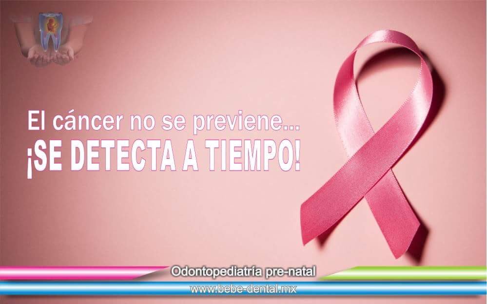bebedental's tweet photo. @machoquezada @BRONCE1111 @drdavidaguilar @23inf @mamaentaconada @Lactandoamando @Bebeplanets https://t.co/JT1B6mrSSG