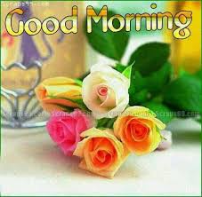 madinah (@madinah_ch) on Twitter photo 