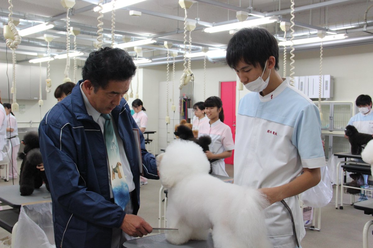 穴トラ アナトラにゃう 昨日は 穴吹動物看護カレッジでトリマー講習会があったニャ 今回はカットを飯田先生にみっちり教えていただきました ありがとうございます みんなお疲れさまにゃ T Co Mzth68wf15 穴トラ アナトラにゃう 昨日は 穴吹動物看護カレッジでトリマー講習会があったニャ 今回はカットを飯田先生にみっちり教えていただきました ありがとうございます みんなお疲れさまにゃ T Co Mzth68wf15