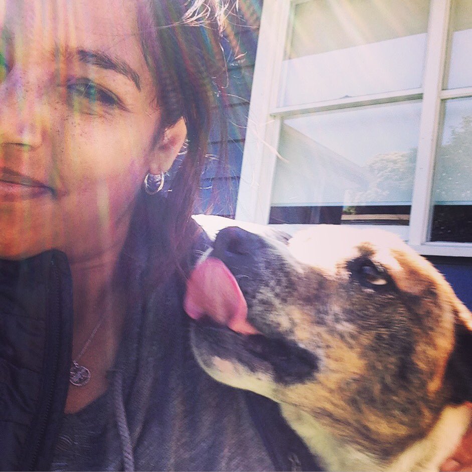 lovellypetsits's tweet photo. Our #puppy clients love weekend with their #petsitters! #SandyPup is a happy customer in #melbourne today! https://t.co/FcouHpKsbF