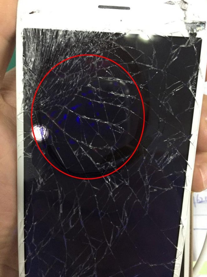 AmyFuting's tweet image. We also sell cellphone replacement parts and provided 180 days warranty and helps you maximize the profits from your cell phone repair.