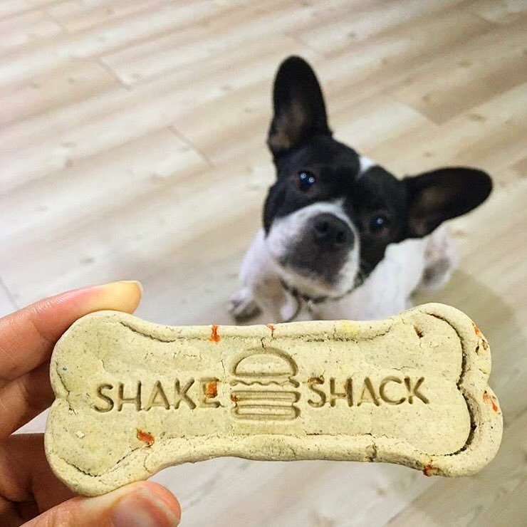 Shake Shack Korea tweet media