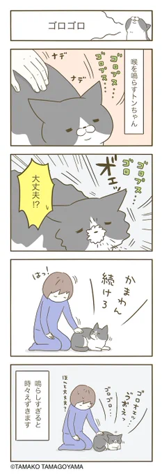 猫まんが。 
