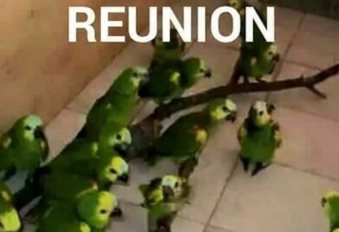 ExaSmgr's tweet photo. Último Momento !!!👀
En exclusiva .. foto de la concentración de uno de los equipos del #EXASMGR 😈😎 https://t.co/y4urOVfOhm