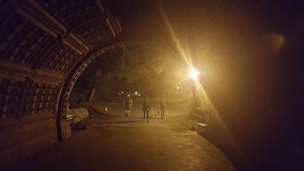 centralparkwalk's tweet image. @prospect_park #walking #tunnel