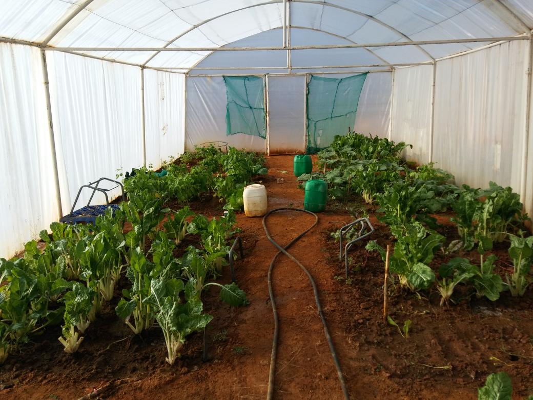 OupaTlhone's tweet image. #service2community