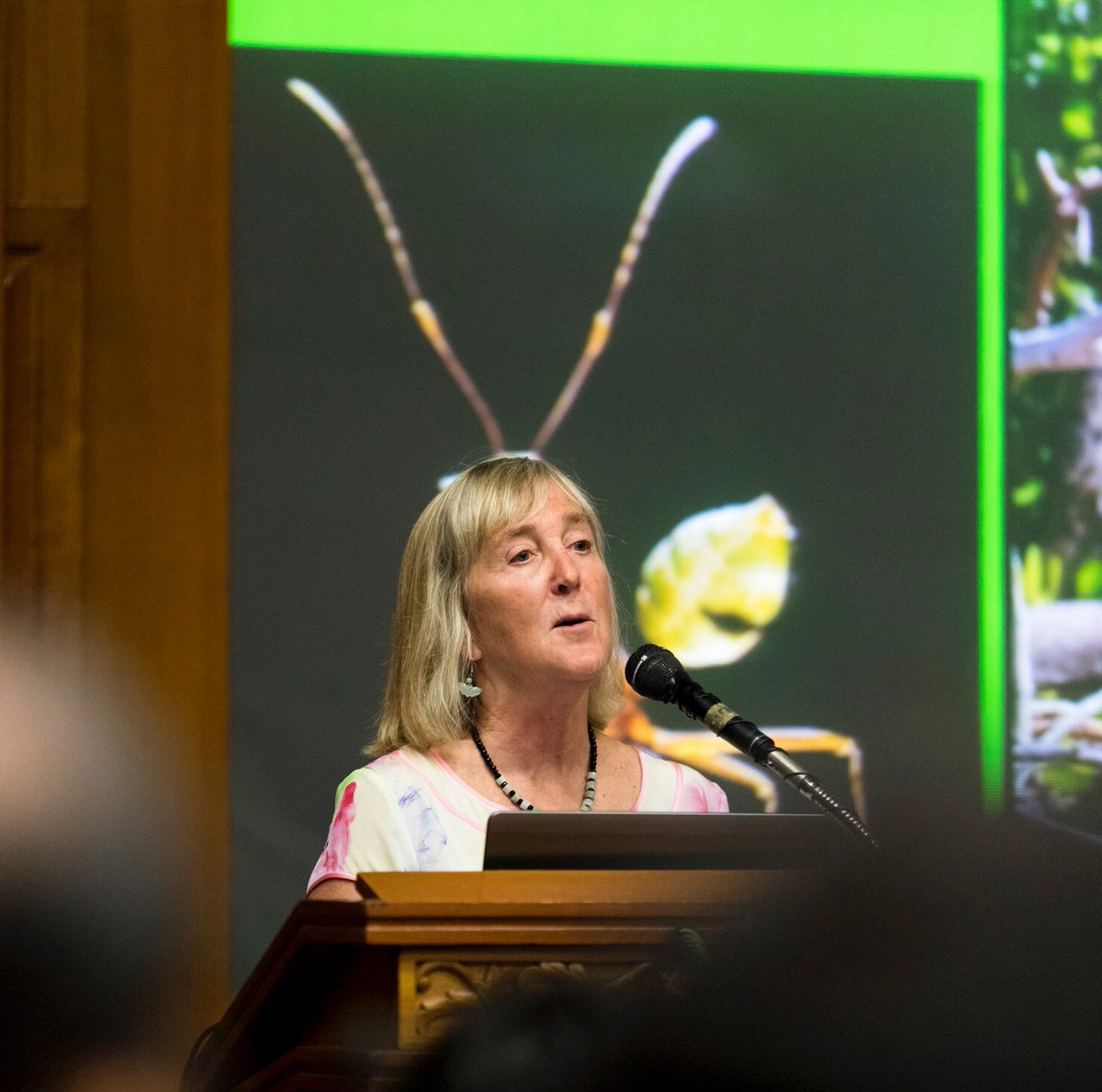spphoto's tweet photo. @canopymeg love you're enthusiasm for the canopy. Couldn't resist this cheeky shot at the symposium @TheHabitatPH https://t.co/2xArCSzneA