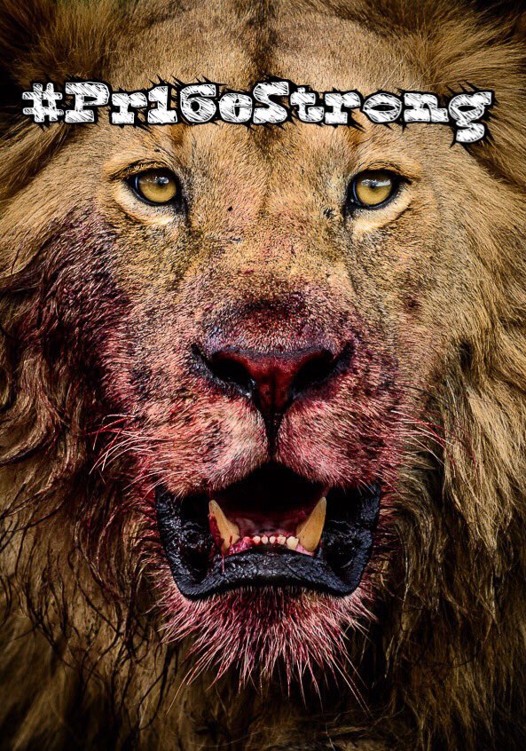 Trickman44's tweet photo. 21-14 victory over Jackson Co. Region play now 1-1. Get the Pack on track! Lead/Follow or Prey... #Pr16eStrong #OurFamilyNotYours https://t.co/5xqFPYEi9p