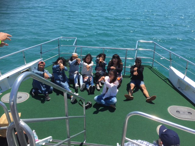 QuickCatII's tweet image. Having a whale of a time @QuickCatII #visitfrasercoast #thisisqueensland #seeaustralia #whalesherveybay