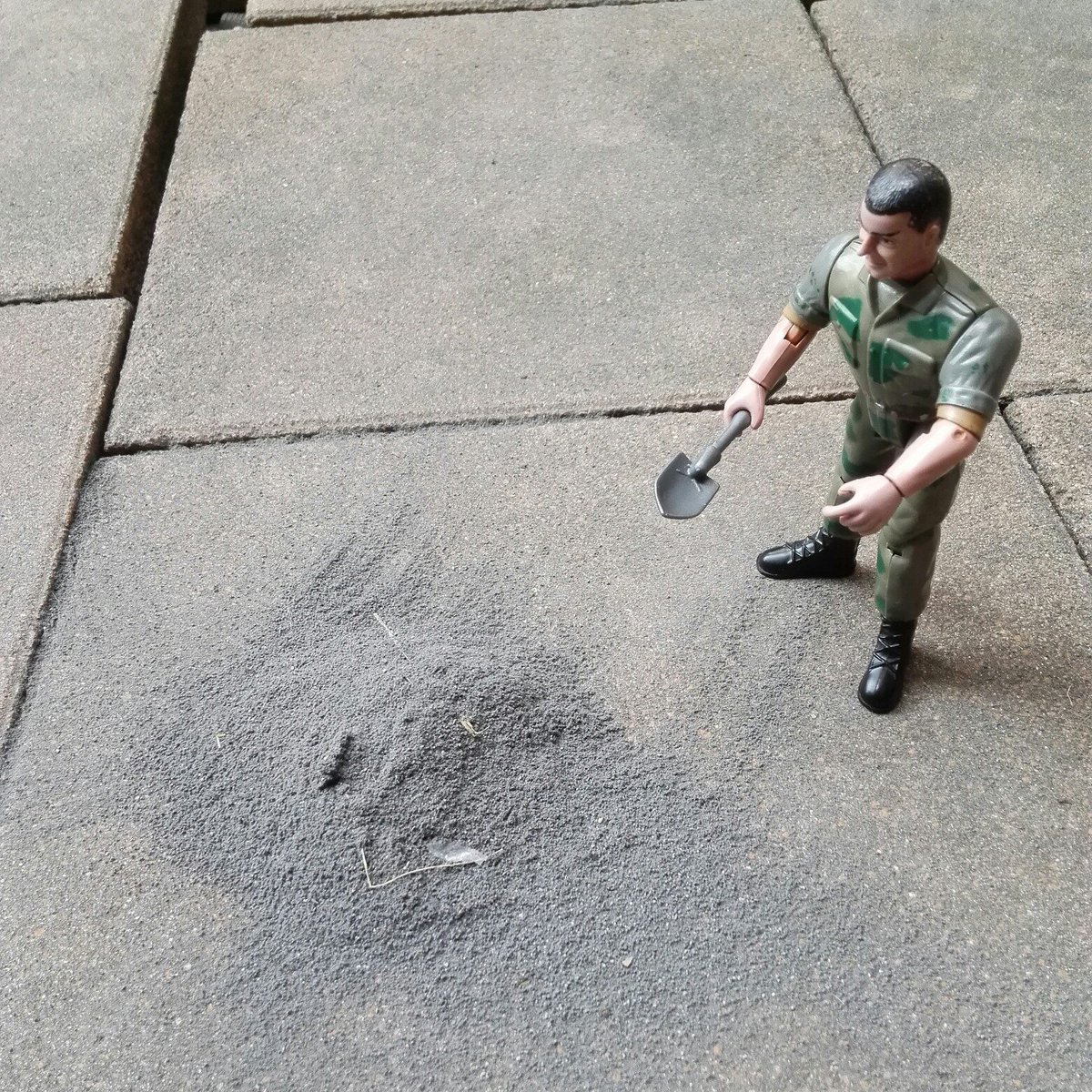 中庭のタイルの色に何か違和感が…❗阿蘇の火山灰ヤベェ((( ；ﾟДﾟ)))
#阿蘇山 #噴火 #火山灰 #大分市