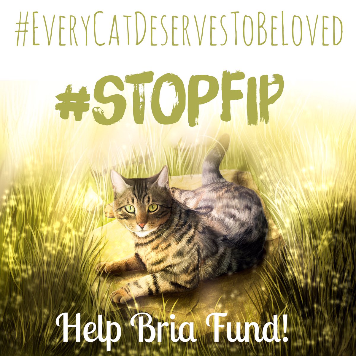 KylieKats's tweet photo. #EveryCatDeservesToBeLoved @ourbengals wanted a feline fundraiser to celebrate their 25k on IG! I donated to @BriaFund to help #StopFIP ❤️ https://t.co/GR7MWdvaQ4