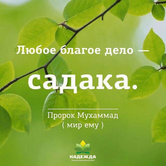 Netadver's tweet image. 