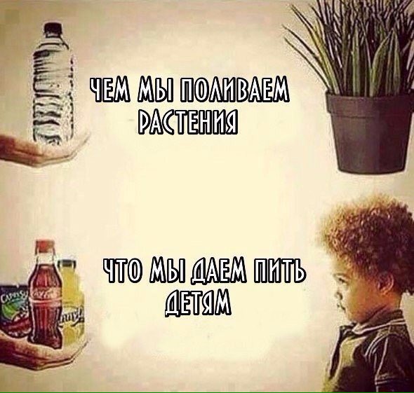 Netadver's tweet image. 