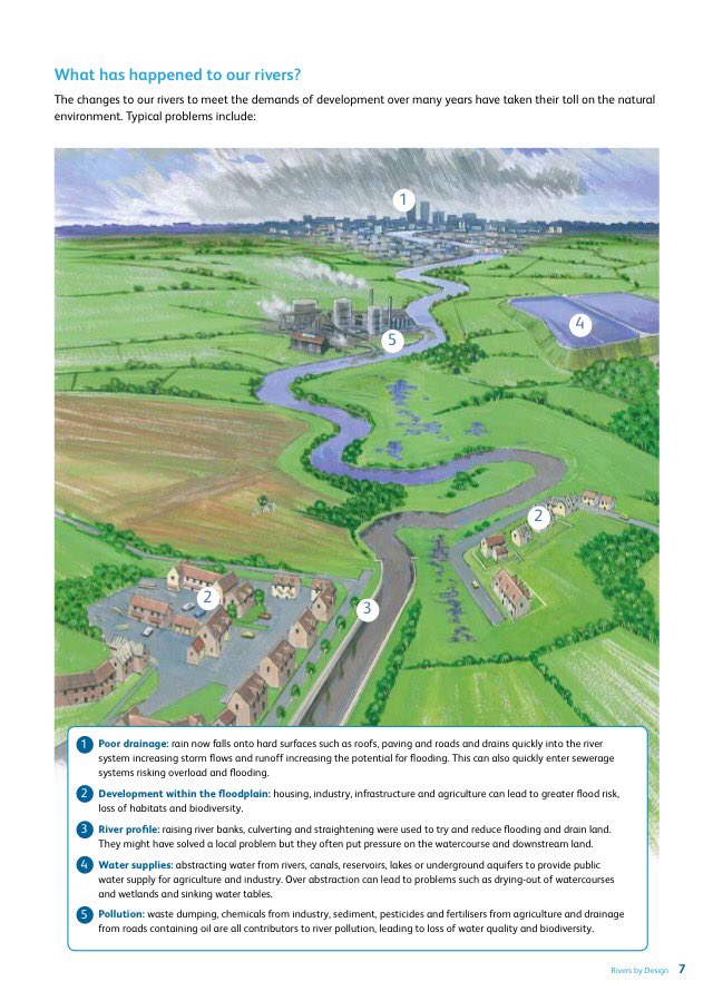 waterlevels's tweet photo. Rivers by design - rethinking development and river restoration https://t.co/5ldjM8qL5B https://t.co/NxnvJFF6o0
