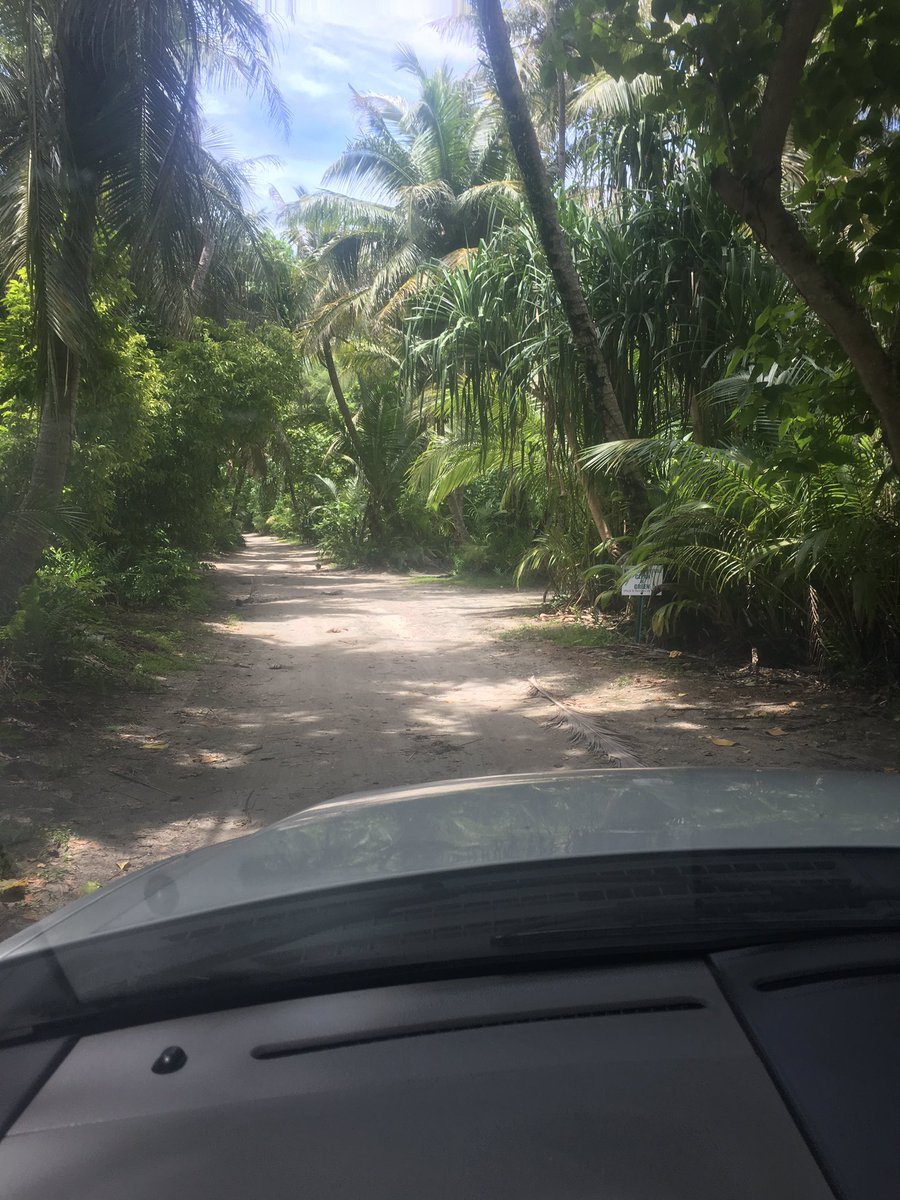 Duff23's tweet photo. As I drive down the little dirt road...@calhoun_jeremy2 what you got tomorrow...Oatmeal or Quiche! #GrizLegend? https://t.co/lv3zAoT4Ar