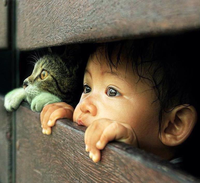 Gabriele_Corno's tweet photo. Adventure..... by 3 Joko https://t.co/dJeJmxoZOz