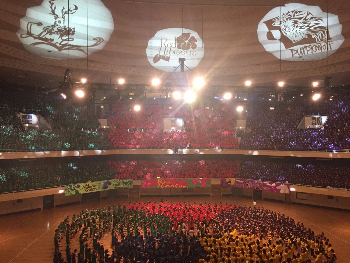 tokyo_kodomo's tweet photo. 【在校生の皆へ】盛り上がった #三幸フェスティバル から約１か月がたちますね！懐かしいので写真をアップします♪#保育実習 を終えた３年生お疲れ様でした！２年生はもうすぐ #教育実習。#３連休 上手に活用できているかな？https://t.co/7edu2HxsSx https://t.co/AfhGKr4VU1