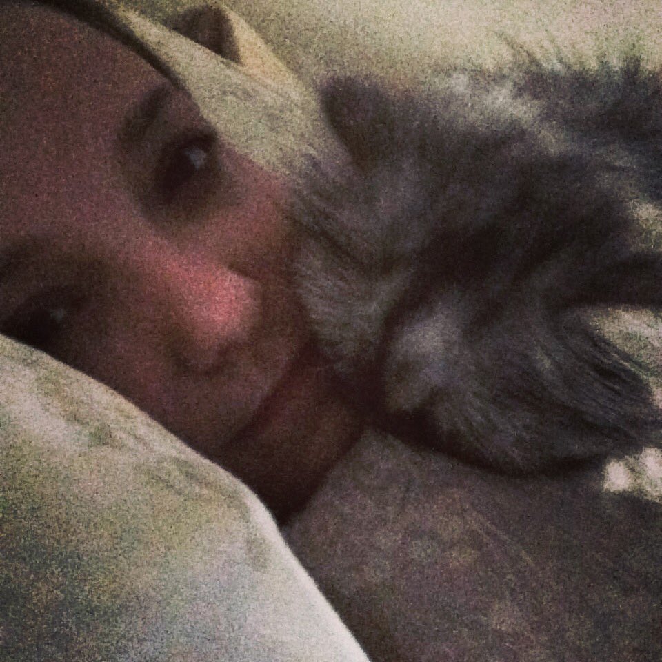 LaurenTesterman's tweet photo. This is my life as a cat mom. Every. Day. #nelliethecat #wakeupmom #snuggletime #catmom #snugglebug #lovemeorelse #catsoftwitter https://t.co/NuqVcnkuF1