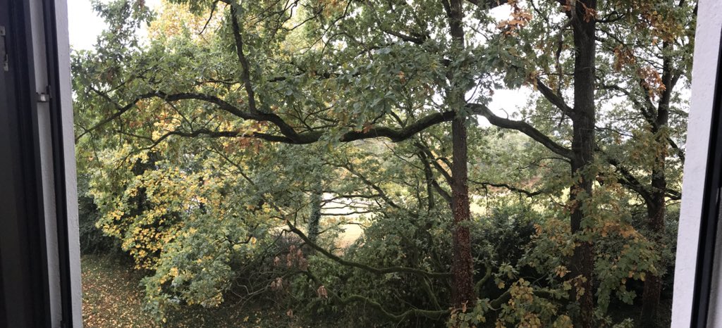 ninatoller's tweet image. Der Hahn hat schon mehrfach in der wäldlichen Idylle gekräht, der zweite Tag vom #Educamp beginnt  #echat16